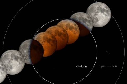 Así evolucionará la visión de la Luna esta próxima noche.